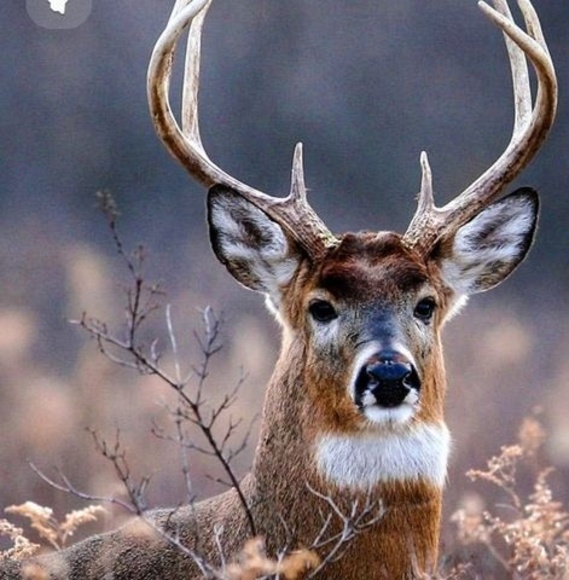 Meet your Posher, Jeffery - Picture 1 of 1